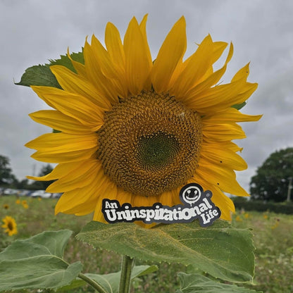 AN UNINSPIRATIONAL LIFE - STICKER